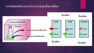 การถ่ายเทพลังงานระหว่างระบบและสิ่งแวดล้อม
 