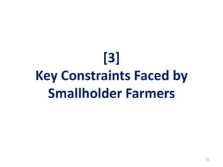 [3]
Key Constraints Faced by
Smallholder Farmers
21
 