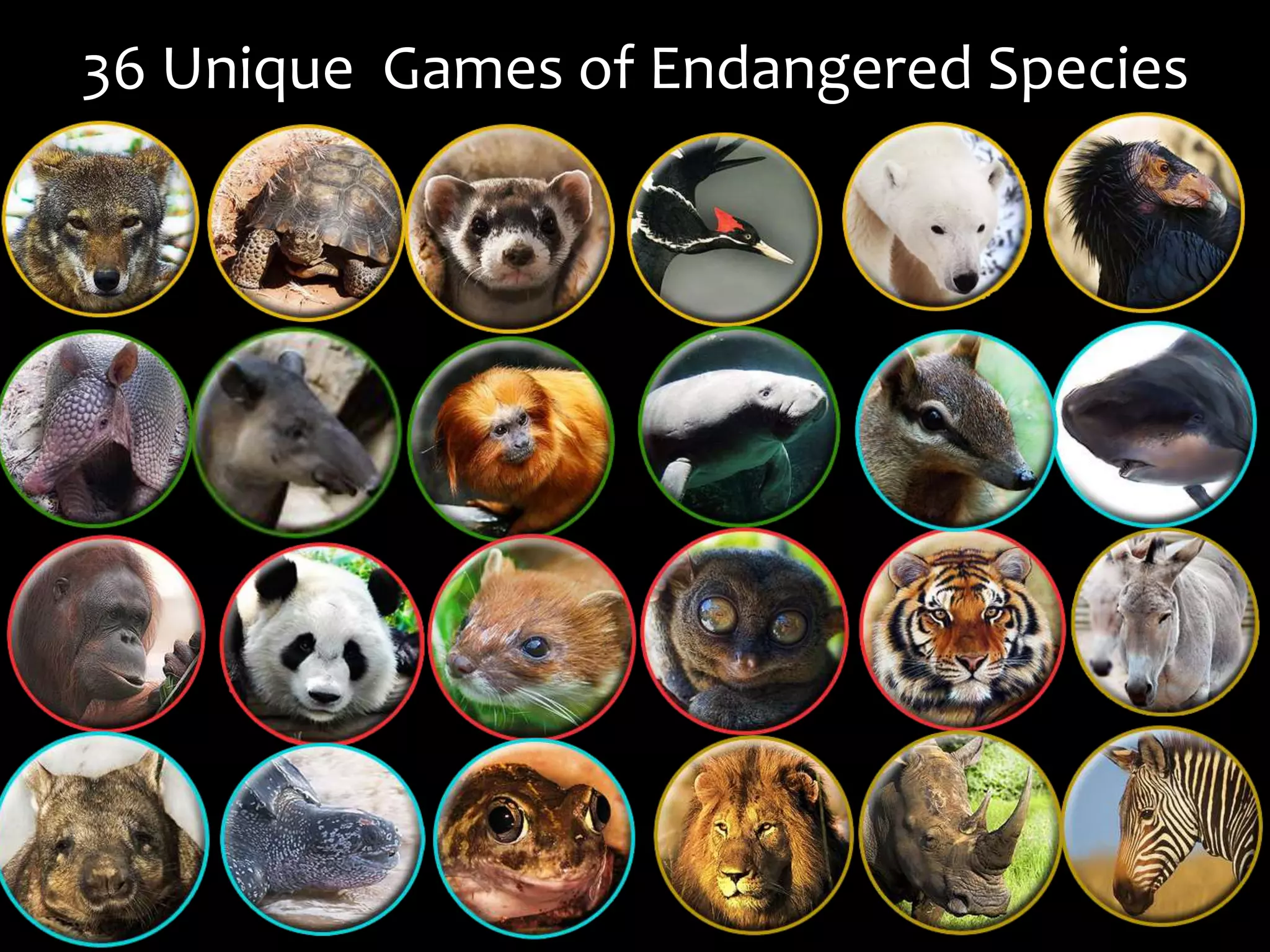 36 Unique Games of Endangered Species
 