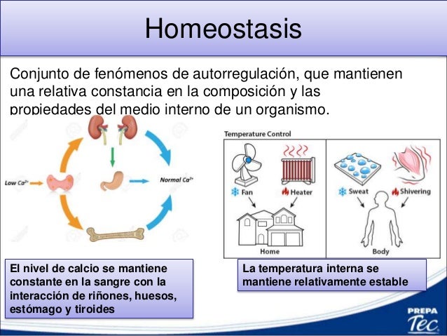 1.2 Caracteristicas de los seres vivos