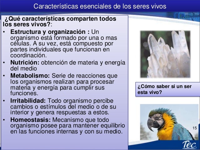 1.2 Caracteristicas de los seres vivos