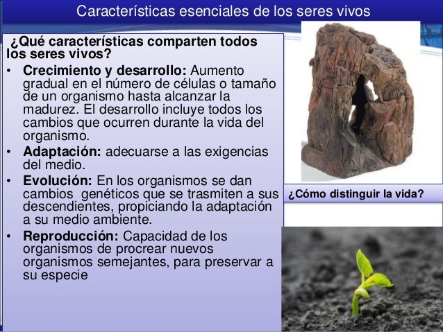 1.2 Caracteristicas de los seres vivos