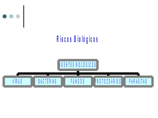 R ís c o s B io ló g ic o s
V ÍR U S B A C T É R IA S F U N G O S P R O T O Z O Á R IO S P A R A S IT A S
A G E N T E S B IO L Ó G IC O S
 