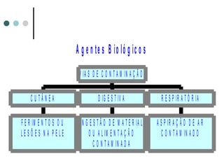 A g e n te s B io ló g ic o s
F E R IM E N T O S O U
L E S Õ E S N A P E L E
C U T Â N E A
IN G E S T Ã O D E M A T E R IA L
O U A L IM E N T A Ç Ã O
C O N T A M IN A D A
D IG E S T IV A
A S P IR A Ç Ã O D E A R
C O N T A M IN A D O
R E S P IR A T Ó R IA
V IA S D E C O N T A M IN A Ç Ã O
 