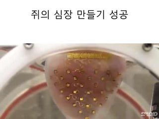 쥐의 심장 만들기 성공
 