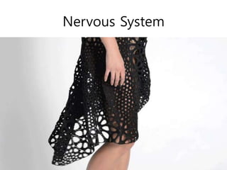 Nervous System
 