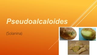 Pseudoalcaloides
(Solanina)
 