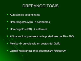 DREPANOCITOSISDREPANOCITOSIS
 Autosómico codominanteAutosómico codominante
 Heterocigotos (AS)Heterocigotos (AS)  portadoresportadores
 Homocigotos (SS)Homocigotos (SS)  enfermosenfermos
 Africa tropical prevalencia de portadores de 20 – 40%Africa tropical prevalencia de portadores de 20 – 40%
 MéxicoMéxico  prevalencia en costas del Golfoprevalencia en costas del Golfo
 Otorga resistencia anteOtorga resistencia ante plasmodium falciparumplasmodium falciparum
 