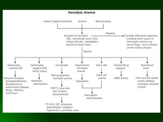  anemias hemoliticas
