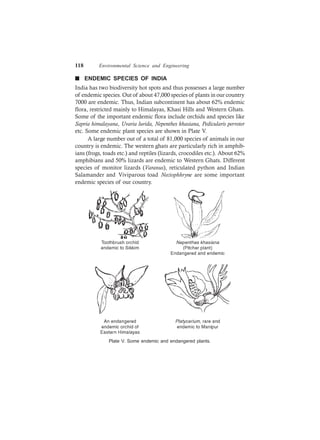 118 Environmental Science and Engineering
n ENDEMIC SPECIES OF INDIA
India has two biodiversity hot spots and thus possesses a large number
of endemic species. Out of about 47,000 species of plants in our country
7000 are endemic. Thus, Indian subcontinent has about 62% endemic
flora, restricted mainly to Himalayas, Khasi Hills and Western Ghats.
Some of the important endemic flora include orchids and species like
Sapria himalayana, Uvaria lurida, Nepenthes khasiana, Pedicularis perroter
etc. Some endemic plant species are shown in Plate V.
A large number out of a total of 81,000 species of animals in our
country is endemic. The western ghats are particularly rich in amphib-
ians (frogs, toads etc.) and reptiles (lizards, crocodiles etc.). About 62%
amphibians and 50% lizards are endemic to Western Ghats. Different
species of monitor lizards (Varanus), reticulated python and Indian
Salamander and Viviparous toad Nectophhryne are some important
endemic species of our country.
Plate V. Some endemic and endangered plants.
 