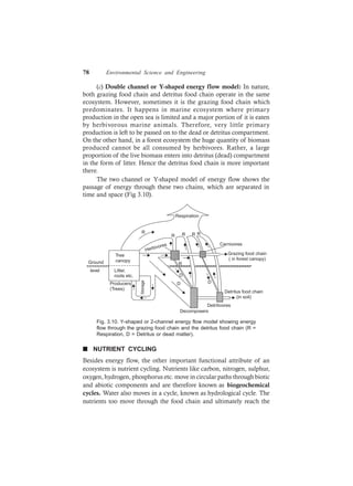 78 Environmental Science and Engineering
(c) Double channel or Y-shaped energy flow model: In nature,
both grazing food chain and detritus food chain operate in the same
ecosystem. However, sometimes it is the grazing food chain which
predominates. It happens in marine ecosystem where primary
production in the open sea is limited and a major portion of it is eaten
by herbivorous marine animals. Therefore, very little primary
production is left to be passed on to the dead or detritus compartment.
On the other hand, in a forest ecosystem the huge quantity of biomass
produced cannot be all consumed by herbivores. Rather, a large
proportion of the live biomass enters into detritus (dead) compartment
in the form of litter. Hence the detritus food chain is more important
there.
The two channel or Y-shaped model of energy flow shows the
passage of energy through these two chains, which are separated in
time and space (Fig 3.10).
R
R R R R
Herbivores
R
D
D D
Storage
Producers
(Trees)
Decomposers
Detritivores
Detritus food chain
(in soil)
Grazing food chain
( in forest canopy)
Carnivores
Respiration
Ground
level
Tree
canopy
Litter,
roots etc.
Fig. 3.10. Y-shaped or 2-channel energy flow model showing energy
flow through the grazing food chain and the detritus food chain (R =
Respiration, D = Detritus or dead matter).
n NUTRIENT CYCLING
Besides energy flow, the other important functional attribute of an
ecosystem is nutrient cycling. Nutrients like carbon, nitrogen, sulphur,
oxygen, hydrogen, phosphorus etc. move in circular paths through biotic
and abiotic components and are therefore known as biogeochemical
cycles. Water also moves in a cycle, known as hydrological cycle. The
nutrients too move through the food chain and ultimately reach the
 