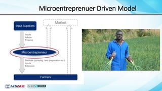 Microentreprenuer Driven Model
 