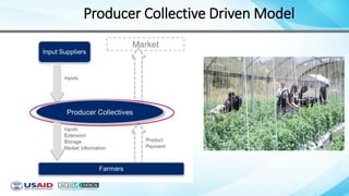 Producer Collective Driven Model
 