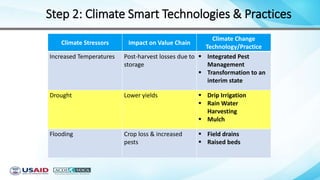 Step 2: Climate Smart Technologies & Practices
Climate Stressors Impact on Value Chain
Climate Change
Technology/Practice
Increased Temperatures Post-harvest losses due to
storage
 Integrated Pest
Management
 Transformation to an
interim state
Drought Lower yields  Drip Irrigation
 Rain Water
Harvesting
 Mulch
Flooding Crop loss & increased
pests
 Field drains
 Raised beds
 