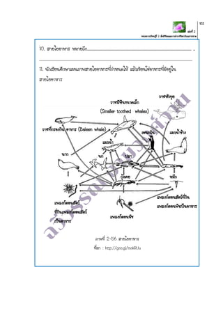 เล่มที่ 2
หน่วยการเรียนรู้ที่ 2 สิ่งมีชีวิตและการดารงชีวิตบริเวณชายหาด
103
10. สายใยอาหาร หมายถึง............................................................................................................... ..
..................................................................................................................................................................
11. นักเรียนศึกษาแผนภาพสายใยอาหารที่กาหนดให้ แล้วเขียนโซ่อาหารที่มีอยู่ใน
สายใยอาหาร
ภาพที่ 2-56 สายใยอาหาร
ที่มา : http://goo.gl/mokRUu
แพลงก์ตอนพืช
แพลงก์ตอนสัตว์ที่กิน
แพลงก์ตอนพืชเป็นอาหาร
แพลงก์ตอนสัตว์
ที่กินแพลงก์ตอนสัตว์
เป็นอาหาร
นาก นก
กุ้งเคย
ปลา
วาฬที่กรองกิน อาหาร (Baleen whale)
วาฬมีฟันขนาดเล็ก
(Smaller toothed whales)
แมวน้า
เพนกวิน
หมึก
แมวน้าช้าง
วาฬหัวทุย
 