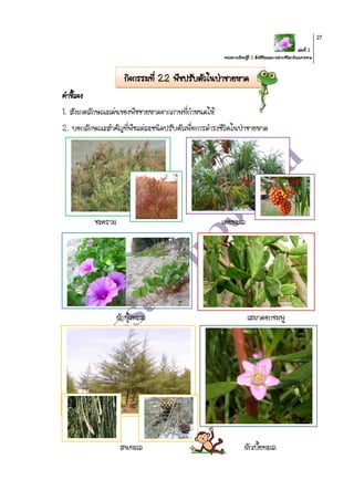 เล่มที่ 2
หน่วยการเรียนรู้ที่ 2 สิ่งมีชีวิตและการดารงชีวิตบริเวณชายหาด
27
กิจกรรมที่ 2.2 พืชปรับตัวในป่าชายหาด
คาชี้แจง
1. สังเกตลักษณะเด่นของพืชชายหาดจากภาพที่กาหนดให้
2. บอกลักษณะสาคัญที่พืชแต่ละชนิดปรับตัวเพื่อการดารงชีวิตในป่าชายหาด
ชะคราม เตยทะเล
ผักบุ้งทะเล เสมาดอกชมพู
สนทะเล ผักเบี้ยทะเล
 