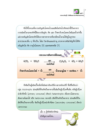 เล่มที่ 2
หน่วยการเรียนรู้ที่ 2 สิ่งมีชีวิตและการดารงชีวิตบริเวณชายหาด
7
พืชใช้น้าตาลเพื่อการเจริญเติบโตของใบและสัตว์จะกินใบพืชเหล่านี้เป็นอาหาร
การผลิตน้าตาลของพืชนี้ต้องการวัตถุดิบ คือ แสง ก๊าซคาร์บอนไดออกไซด์และน้าเท่านั้น
แต่การเจริญเติบโตของพืชก็ต้องการสารอาหารเพื่อเปลี่ยนน้าตาลให้อยู่ในรูปของ
สารประกอบอื่น ๆ ที่จาเป็น ได้แก่ วิตามินและแร่ธาตุ สารอาหารตัวสาคัญที่ทาให้พืช
เจริญเติบโต คือ ธาตุไนโตรเจน (N) และฟอสฟอรัส (P)
กระบวนการสังเคราะห์ด้วยแสง
6CO2 + 12H2O C6H12O6 + 6O2 + 6H2O
ก๊าซคาร์บอนไดออกไซด์ + น้า น้าตาลกลูโคส + ออกซิเจน + น้า
พืชจัดเป็นผู้ผลิตเบื้องต้นที่ผลิตสารอินทรีย์จากสารอนินทรีย์ ซึ่งมีชื่อเรียกว่า
กลุ่ม Autotrophs ส่วนสัตว์ที่กินพืชเป็นอาหารนั้นจัดเป็นผู้บริโภคขั้นต้น หรือผู้บริโภค
ลาดับที่หนึ่ง (primary consumer) เรียกว่า heterotrophs เนื่องจากไม่สามารถ
สังเคราะห์แสงได้ หรือ herbivores หมายถึง สัตว์ที่กินพืชเป็นอาหาร ส่วนสัตว์ที่กิน
สัตว์อื่นเป็นอาหารนั้น จัดเป็นผู้บริโภคลาดับที่สอง (secondary consumer) เรียกว่า
carnivores
เด็ก ๆ รู้หรือยังว่าพืชน่ะ
สาคัญมากแค่ไหน..
คลอโรฟิลล์
แสง
คลอโรฟิลล์
แสง
 