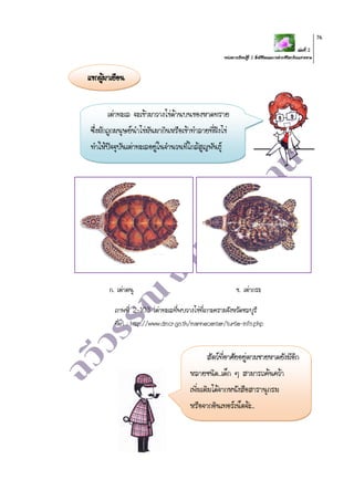 เล่มที่ 2
หน่วยการเรียนรู้ที่ 2 สิ่งมีชีวิตและการดารงชีวิตบริเวณชายหาด
76
แขกผู้มาเยือน
ก. เต่าตนุ ข. เต่ากระ
ภาพที่ 2-103 เต่าทะเลที่พบวางไข่ที่เกาะครามจังหวัดชลบุรี
ที่มา : http://www.dmcr.go.th/marinecenter/turtle-info.php
เต่าทะเล จะเข้ามาวางไข่ด้านบนของหาดทราย
ซึ่งมักถูกมนุษย์นาไข่มันมากินหรือเข้าทาลายที่ฝังไข่
ทาให้ปัจจุบันเต่าทะเลอยู่ในจานวนที่ใกล้สูญพันธุ์
สัตว์ที่อาศัยอยู่ตามชายหาดยังมีอีก
หลายชนิด..เด็ก ๆ สามารถค้นคว้า
เพิ่มเติมได้จากหนังสือสารานุกรม
หรือจากอินเทอร์เน็ตจ้ะ..
 