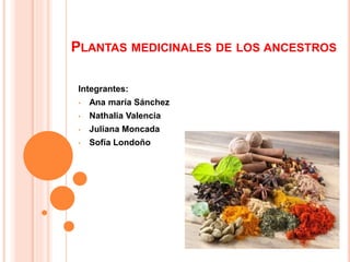 PLANTAS MEDICINALES DE LOS ANCESTROS
Integrantes:
• Ana maría Sánchez
• Nathalia Valencia
• Juliana Moncada
• Sofía Londoño
 