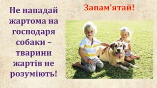 тварини довкола нас 2 клас