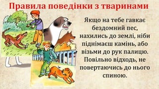 Якщо на тебе гавкає
бездомний пес,
нахились до землі, ніби
піднімаєш камінь, або
візьми до рук палицю.
Повільно відходь, не
повертаючись до нього
спиною.
 