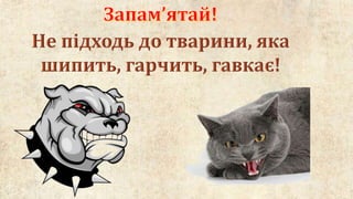 тварини довкола нас 2 клас