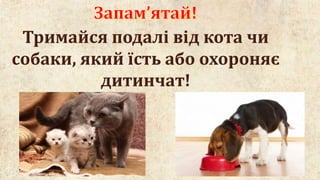 тварини довкола нас 2 клас