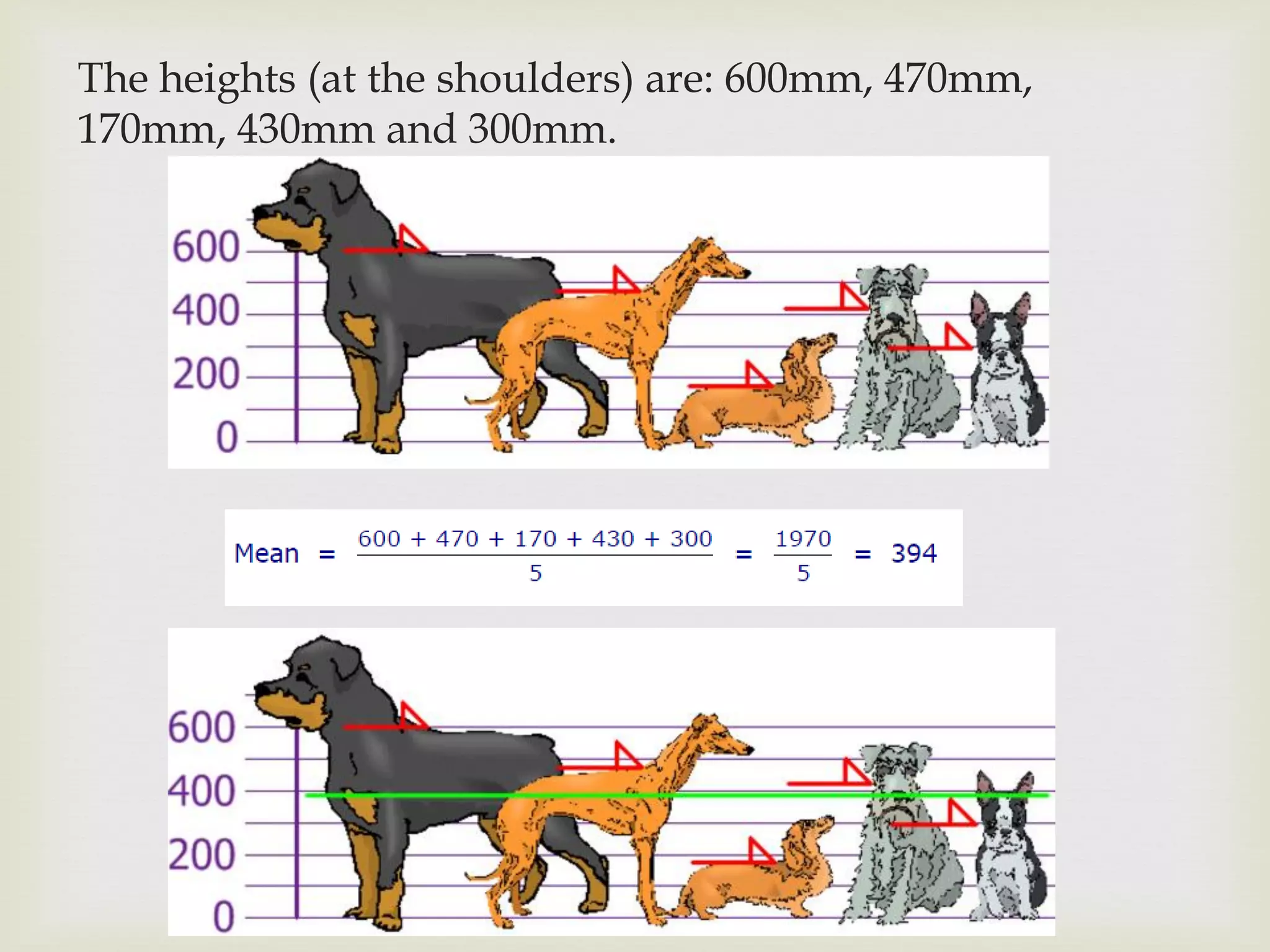The heights (at the shoulders) are: 600mm, 470mm,
170mm, 430mm and 300mm.
 