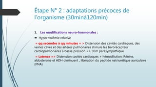 Étape N° 2 : adaptations précoces de
l’organisme (30minà120min)
1. Les modifications neuro-hormonales :
 Hyper volémie relative
= qq secondes à qq minutes = > Distension des cavités cardiaques, des
veines caves et des artères pulmonaires stimule les barorécepteur
cardiopulmonaires à basse pression => Stim parasympathique
= Latence => Distension cavités cardiaques + hémodilution: Rénine,
aldosterone et ADH diminuent , libération du peptide natriurétique auriculaire
(PNA)
 