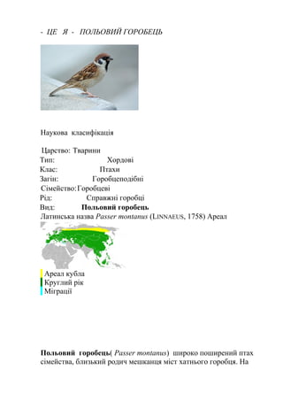 - ЦЕ Я - ПОЛЬОВИЙ ГОРОБЕЦЬ
Наукова класифікація
Царство: Тварини
Тип: Хордові
Клас: Птахи
Загін: Горобцеподібні
Сімейство:Горобцеві
Рід: Справжні горобці
Вид: Польовий горобець
Латинська назва Passer montanus (LINNAEUS, 1758) Ареал
Ареал кубла
Круглий рік
Міграції
Польовий горобець( Passer montanus) широко поширений птах
сімейства, близький родич мешканця міст хатнього горобця. На
 