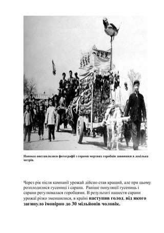 Напоказ виставлялися фотографії з горами мертвих горобців заввишки в декілька
метрів.
Через рік після кампанії урожай дійсно став кращий, але при цьому
розплодилися гусениці і сарана. Раніше популяції гусениць і
сарани регулювалася горобцями. В результаті нашестя сарани
урожаї різко зменшилися, в країні наступив голод, від якого
загинуло імовірно до 30 мільйонів чоловік.
 