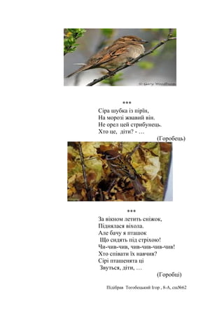 ***
Сіра шубка із пірїн,
На морозі жвавий він.
Не орел цей стрибунець.
Хто це, діти? - …
(Горобець)
***
За вікном летить сніжок,
Піднялася віхола.
Але бачу я пташок
Що сидять під стріхою!
Чи-чив-чив, чив-чив-чив-чив!
Хто співати їх навчив?
Сірі пташенята ці
Звуться, діти, …
(Горобці)
Підібрав Тогобецький Ігор , 8-А, сш№62
 