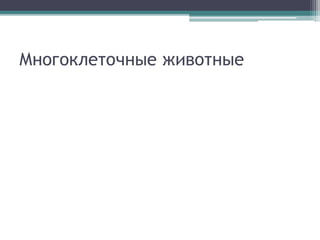 Многоклеточные животные
 