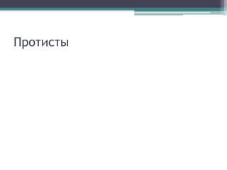 Протисты
 