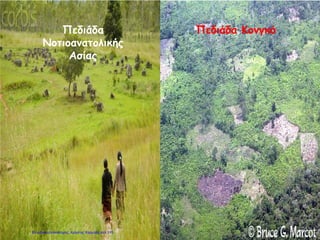 Πεδιάδα ΚονγκόΠεδιάδα
Νοτιοανατολικής
Ασίας
Επιμέλεια επανάληψης: Χρήστος Χαρμπής σελ.115
 