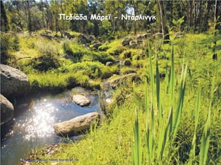 Πεδιάδα Μάρεϊ - Ντάρλινγκ
Επιμέλεια επανάληψης: Χρήστος Χαρμπής σελ.118
 
