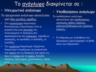 Το ανάγλυφο διακρίνεται σε :
• Ηπειρωτικό ανάγλυφο
Το ηπειρωτικό ανάγλυφο αποτελείται
από δύο μεγάλες ομάδες:
• Τον κατακόρυφο διαμελισμό.
Κατακόρυφος διαμελισμός είναι η
μορφολογία μιας περιοχής και
συγκεκριμένα οι διαφορές που
παρατηρούνται στο υψόμετρο. Δηλαδή οι
οροσειρές, τα οροπέδια, οι πεδιάδες, οι
κοιλάδες.
• Τον οριζόντιο διαμελισμό. Οριζόντιο
διαμελισμό ονομάζουμε τη μορφολογία
των ακτών και τις διαφορές που έχουν ως
προς το σχήμα και το μήκος, δηλαδή
κόλπους, ακρωτήρια, χερσονήσους, νησιά,
κ.λπ.
• Υποθαλάσσιο ανάγλυφο
Το υποθαλάσσιο ανάγλυφο
αποτελείται από υποθαλάσσιες
οροσειρές, βαθιές τάφρους,
απότομα βυθίσματα και τεράστιες
λεκάνες :
• Ο άνθρωπος με τη βοήθεια των
δορυφόρων χαρτογράφησε το βυθό
όλων των θαλασσών!
Επιμέλεια επανάληψης: Χρήστος Χαρμπής σελ.124
 