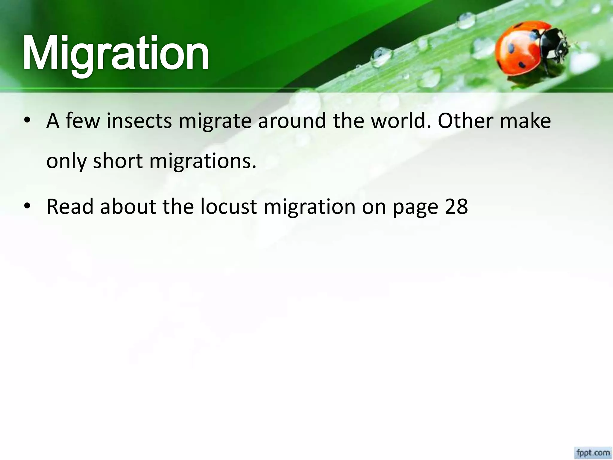 • A few insects migrate around the world. Other make
only short migrations.
• Read about the locust migration on page 28