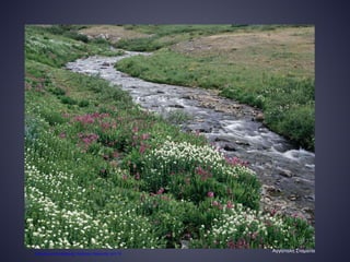 Αγγίσταλη Σταματία
Επιμέλεια επανάληψης: Χρήστος Χαρμπής σελ.74
 
