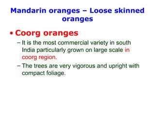Mandarin oranges – Loose skinned
oranges
• Coorg oranges
– It is the most commercial variety in south
India particularly grown on large scale in
coorg region.
– The trees are very vigorous and upright with
compact foliage.
 