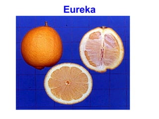 Eureka
 