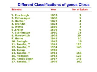 Different Classifications of genus Citrus
Scientist Year No. of Spices
1. Rox burgh 1832 5
2. Rafinesque 1838 5
3. Hooker 1872 4
4. Brandis 1874 3
5. Watts 1889 4
6 .Ergler 1896 6
7. Lushington 1910 21
8. Marcovitch 1926 20
9. Hume 1941 10
10. Swingle 1943 16
11. Tanaka, T 1941 128
12. Tanaka, T 1954 145
13. Tseug 1960 -
14. Tanaka, T 1961 158
15. Hodgson 1962 128
16. Ranjit Singh 1967 148
17. Tanaka, T 1979 162
 