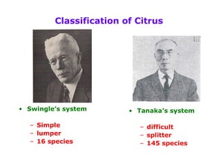 Classification of Citrus
• Tanaka’s system
– difficult
– splitter
– 145 species
• Swingle’s system
– Simple
– lumper
– 16 species
 