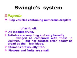 Swingle’s system
Papeda
 Pulp vesicles containing numerous droplets
of acrid oil.
 All inedible fruits.
 Petioles are very long and very broadly
winged as compared with those in
Eucitrus, but not cordate often nearly as
broad as the leaf blade.
 Stamens are usually free.
 Flowers and fruits are small.
 