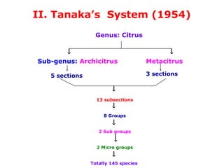 II. Tanaka’s System (1954)
Genus: Citrus
Sub-genus: Archicitrus Metacitrus
5 sections 3 sections
13 subsections
8 Groups
2 Sub groups
2 Micro groups
Totally 145 species
 
