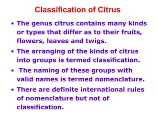 Classification of Citrus
• The genus citrus contains many kinds
or types that differ as to their fruits,
flowers, leaves and twigs.
• The arranging of the kinds of citrus
into groups is termed classification.
• The naming of these groups with
valid names is termed nomenclature.
• There are definite international rules
of nomenclature but not of
classification.
 