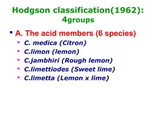 Hodgson classification(1962):
4groups
 A. The acid members (6 species)
 C. medica (Citron)
 C.limon (lemon)
 C.jambhiri (Rough lemon)
 C.limettiodes (Sweet lime)
 C.limetta (Lemon x lime)
 