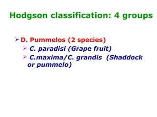 Hodgson classification: 4 groups
 D. Pummelos (2 species)
 C. paradisi (Grape fruit)
 C.maxima/C. grandis (Shaddock
or pummelo)
 