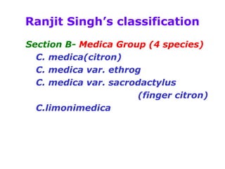 Ranjit Singh’s classification
Section B- Medica Group (4 species)
C. medica(citron)
C. medica var. ethrog
C. medica var. sacrodactylus
(finger citron)
C.limonimedica
 