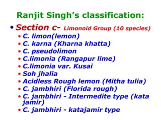 Ranjit Singh’s classification:
• Section c- Limonoid Group (10 species)
• C. limon(lemon)
• C. karna (Kharna khatta)
• C. pseudolimon
• C.limonia (Rangapur lime)
• C.limonia var. Kusai
• Soh jhalia
• Acidless Rough lemon (Mitha tulia)
• C. jambhiri (Florida rough)
• C. jambhiri - Intermedite type (kata
jamir)
• C. jambhiri - katajamir type
 